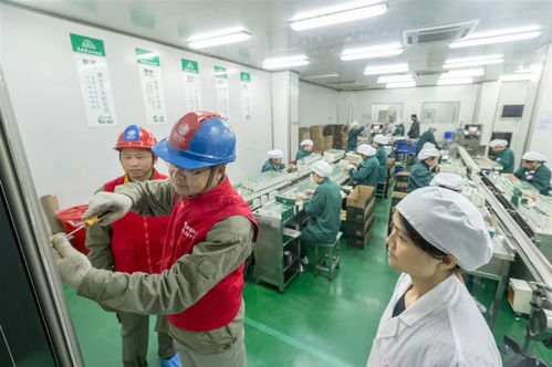服务社会民生经济，助推蕲春高质量发展· 蕲春供电公司劳务服务工作纪实